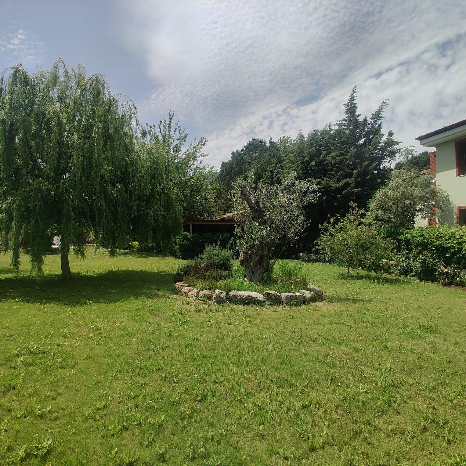 Apartments in Kayaköy, Fethiye (BJV-00591) — photograph 5