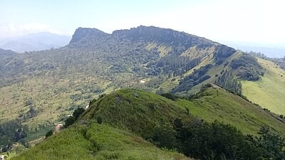 Hantana