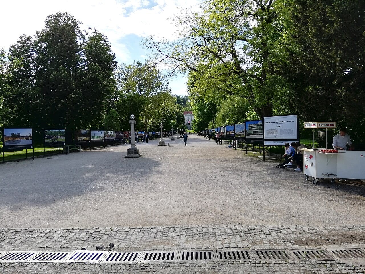 Rožnik (Rožna dolina)