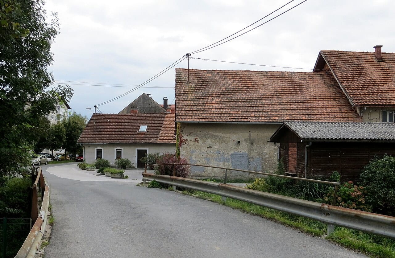 Vič