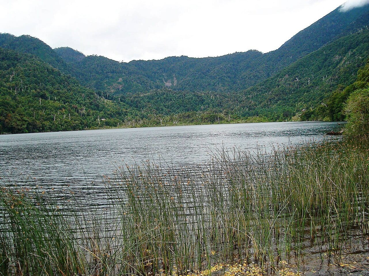 Camino a Caburgua