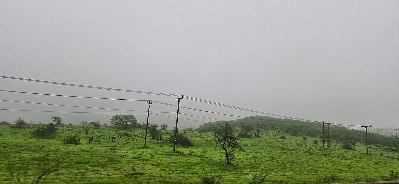 Salalah Gardens