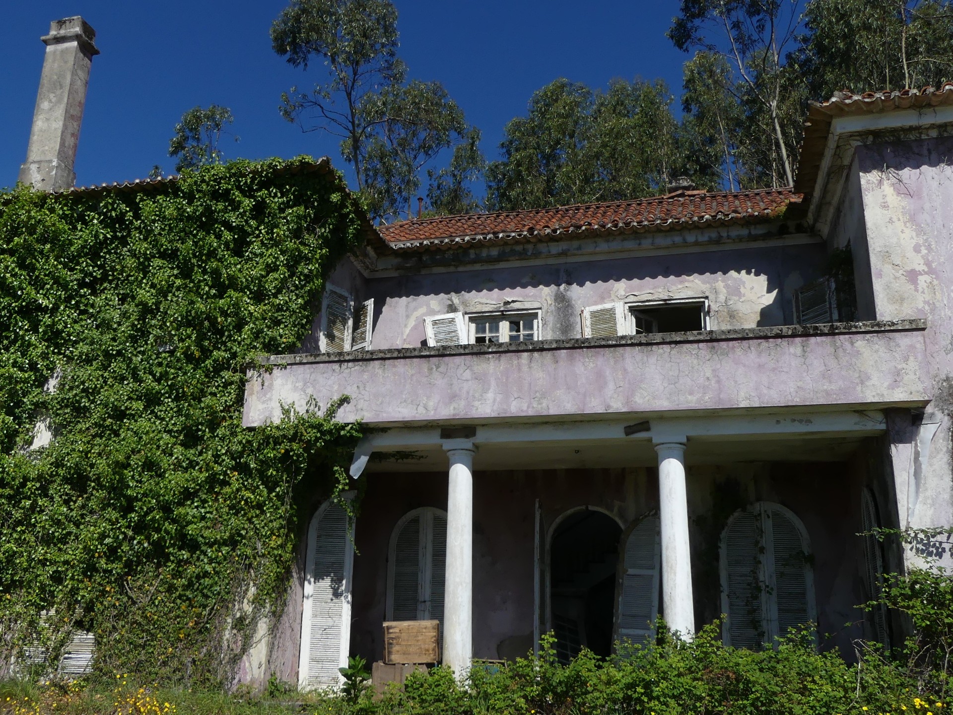 Farm in Barcelos