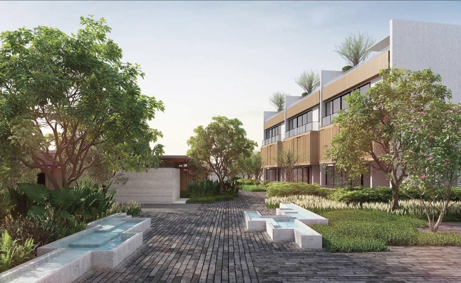 Banyan Tree Yara