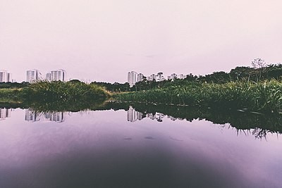 Ang Mo Kio