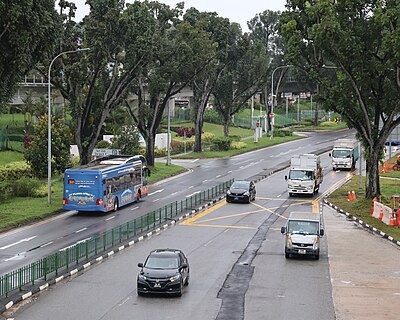 Woodlands