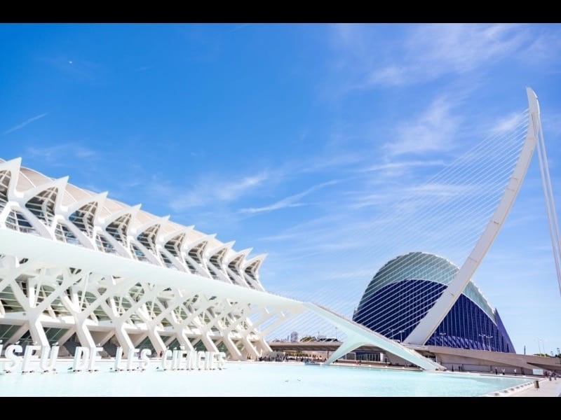 El Pla del Real / Exposició